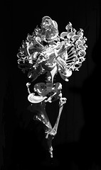 Iris van Herpen