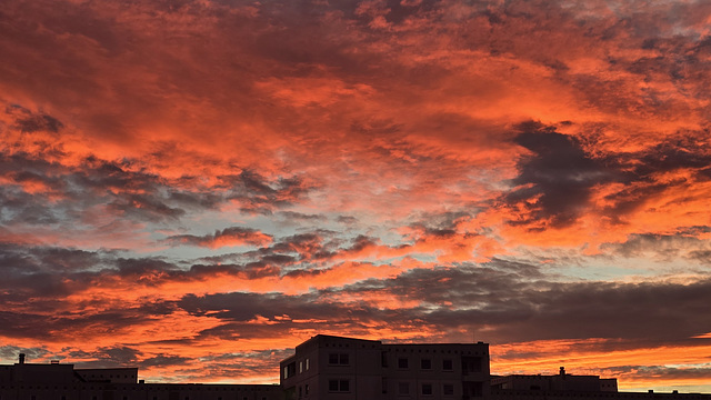 Morgenrot