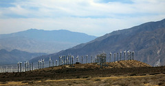 Coachella Valley Wind Turbines (0435)