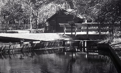 Fish Hatchery