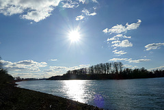 Rhein im Sonnenschein