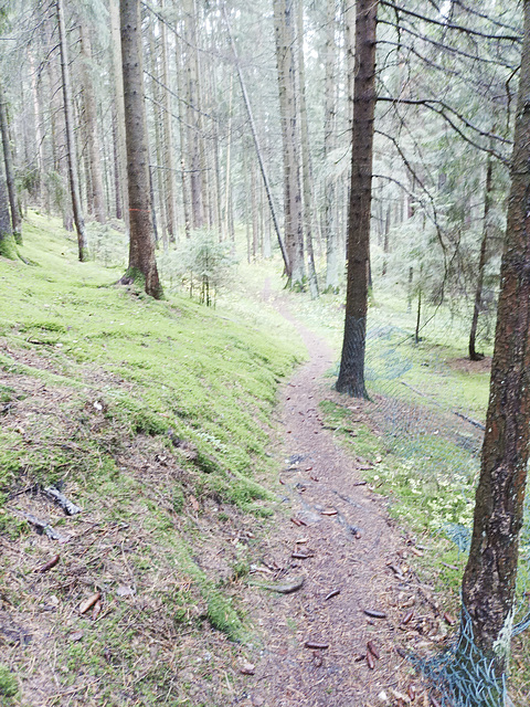 Fränkischer Jakobsweg: Pegnitz - Betzenstein