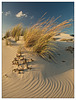 Wind on the dunes