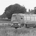 277/01 Premier Travel Services WEB 407T at Barton Mills - 22 Jul 1984