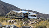 Palm Springs Mirage house (#0535)