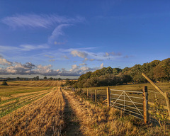 View from Bibbs Hall Lane