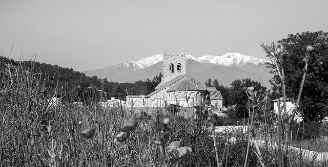 St. Saturnin, Montesquieu 26 Apr 07 042