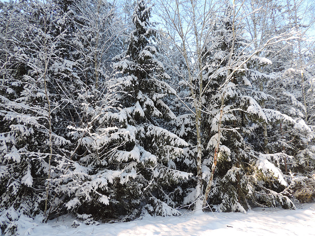 Ein Wintermärchen...