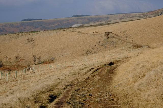 Doctors Gate path