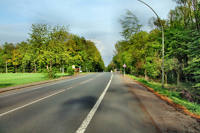 B225 Recklinghäuser Straße (Marl) / 22.04.2018