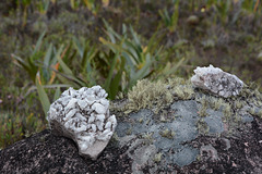 Venezuela, The Flat Surface of Roraima, Fragments of the fused crystals of Rhinestone