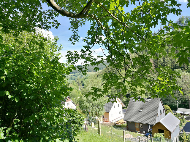 02.06.2019 - Blick vom Zaun auf das Tal , die Berge und die Nachbarn