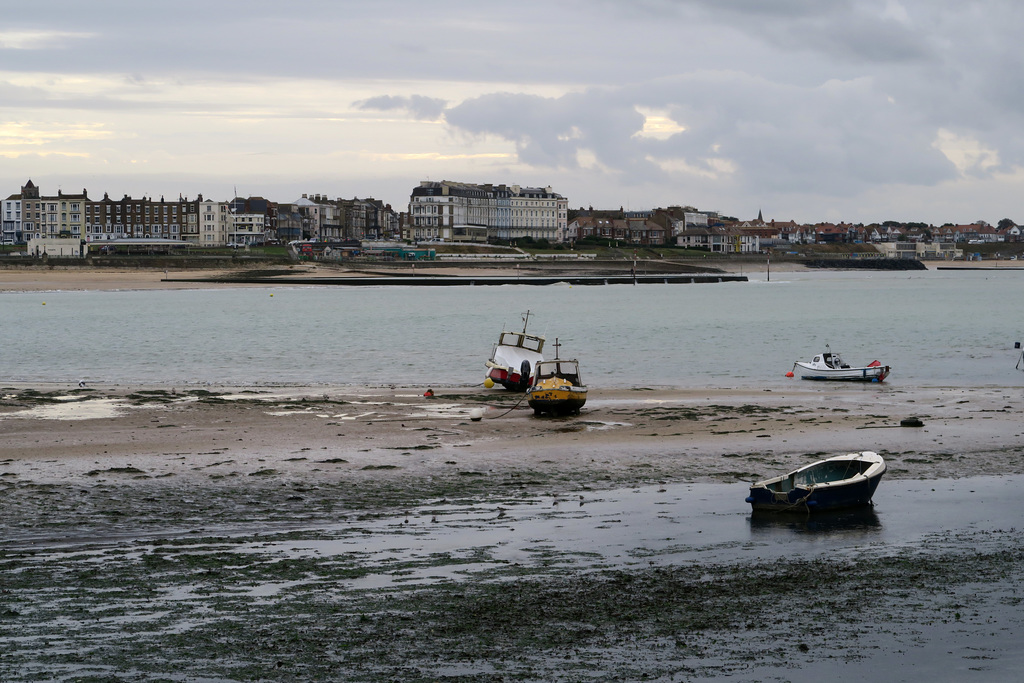 IMG 6861-001-Low Tide 1