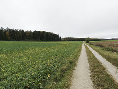 Fränkischer Jakobsweg: Pegnitz - Betzenstein