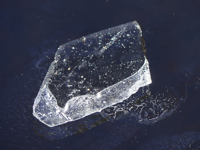 20231216 Lavogne Blandas (61)