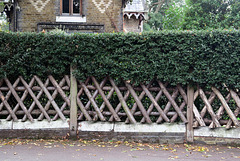 IMG 2956-001-Fence & Hedge