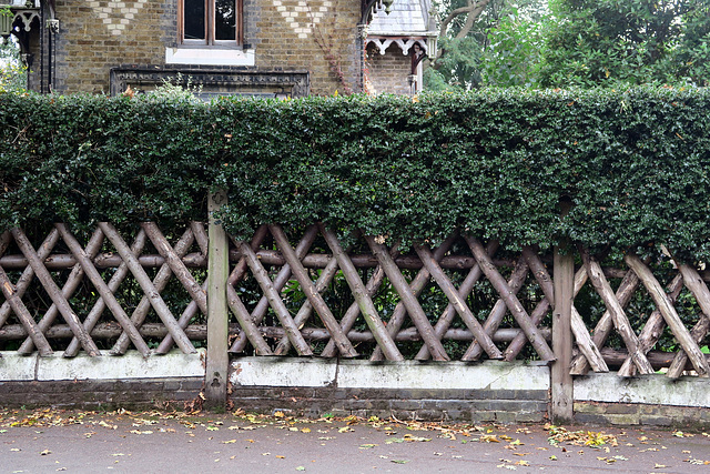 IMG 2956-001-Fence & Hedge