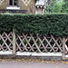 IMG 2956-001-Fence & Hedge