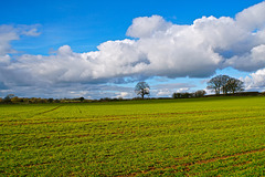 Big clouds near Gnosall