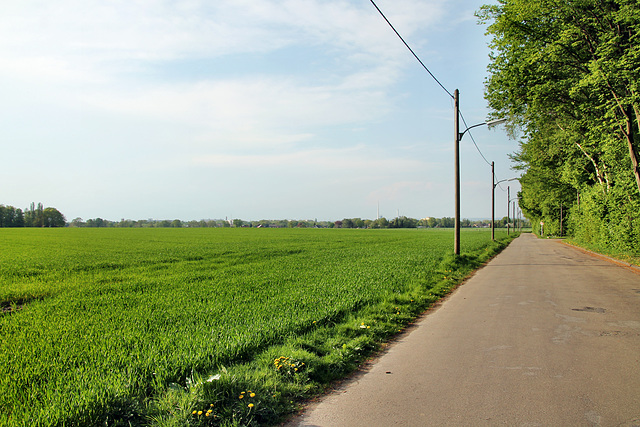 Loemühlenweg (Marl) / 22.04.2018