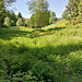 02.06.2019 - Das Steinbachstal zwischen Gräfenthal und Großneundorf- Thüringen