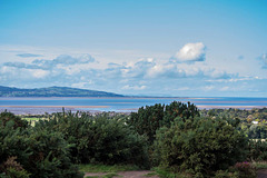 The Dee estuary and the coast of wales from Thurstaston