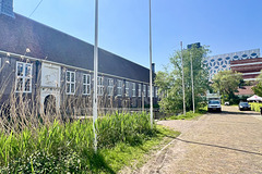 Pesthuis