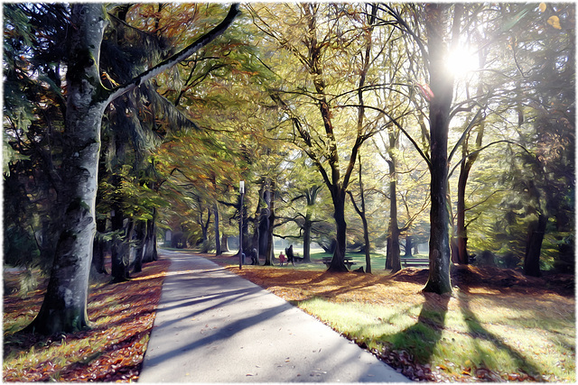 a walk in the park