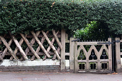 IMG 2957-001-Fence, Gate, Hedge