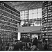 Starfield Library: Seoul’s Towering Temple of Books