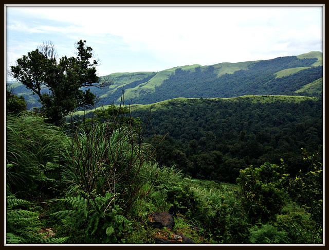 Western Ghats