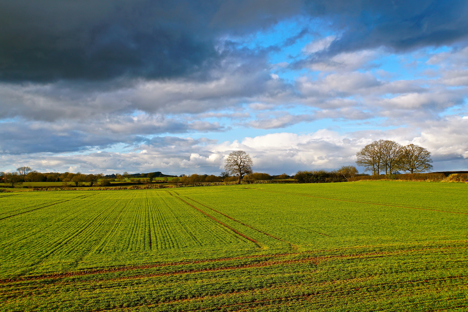 Big clouds near Gnosall