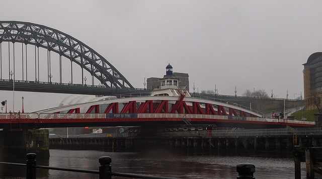 Newcastle Swing Bridge (#1191)