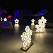 Denver Botanical Garden Christmas Lights