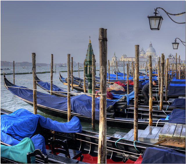 Venice Waterfront