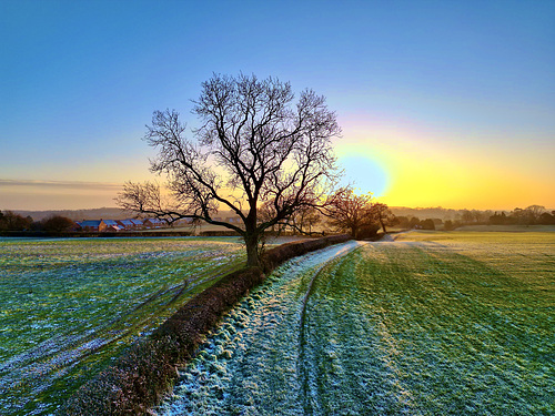 Wintry sunset