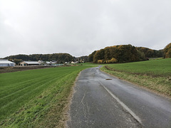 Fränkischer Jakobsweg: Pegnitz - Betzenstein