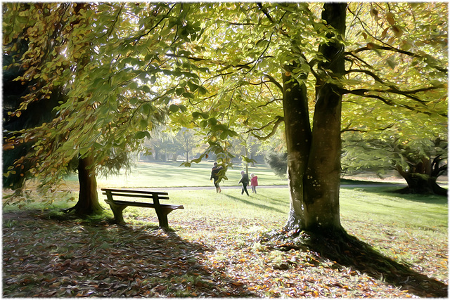 a walk in the park