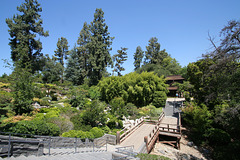 Huntington Gardens (5169)