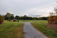 Landschaftspark Pluto V (Wanne-Eickel) / 17.10.2016