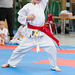 kj-karate-259 15794287681 o