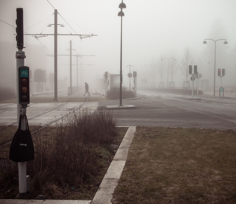 A walk in the fog