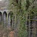 The old  Clydach railway viaduct