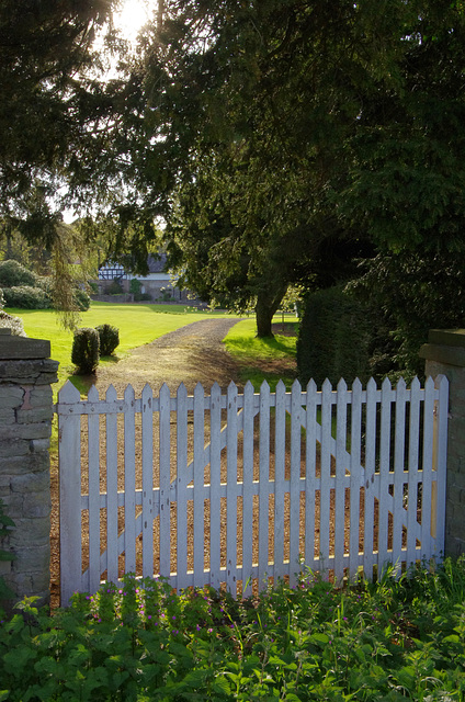 Back Gate