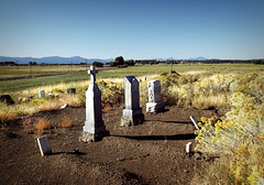 Cleared family plot