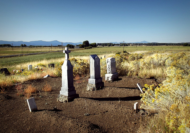Cleared family plot