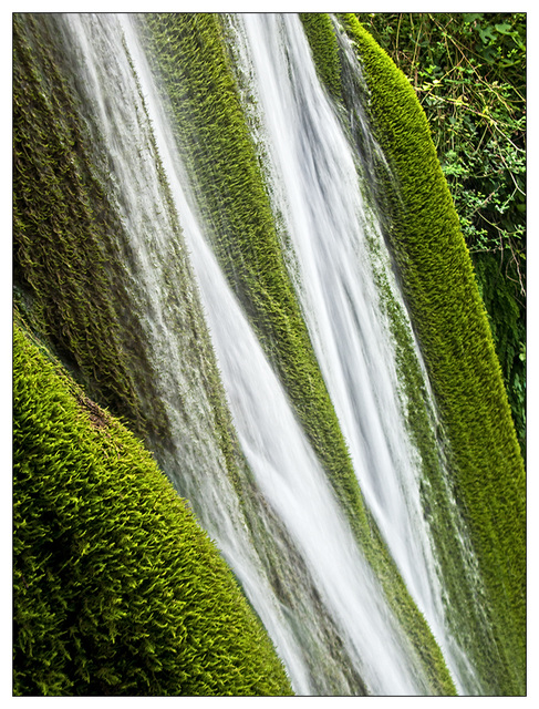 Water and moss