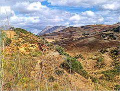 Paysaje malagueña