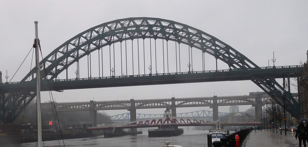 Newcastle Tyne bridge (#1202)