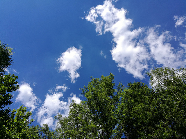 02.06.2019 - Wolken über dem Steinbachstal